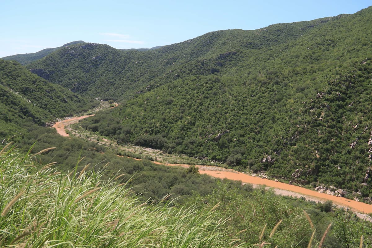 El derrame de tóxicos en Río Sonora en 2014, se ha calificado como el daño ambiental más grande de la historia de México. FOTO: BANCO DIGITAL