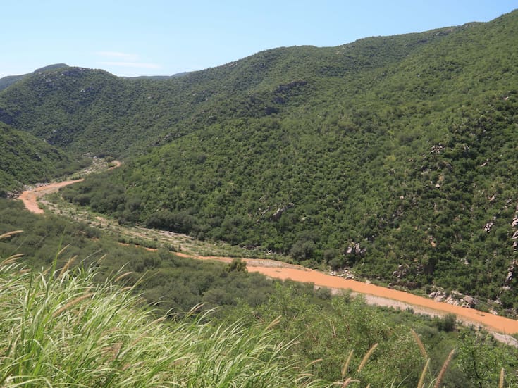Reforma ambiental histórica en México: Diputados aprueban castigos más severos contra tala ilegal, tráfico de fauna e incendios provocados con penas de hasta 20 años y multas mayores, mientras la oposición alerta que sin personal ni recursos la nueva ley podría fracasar