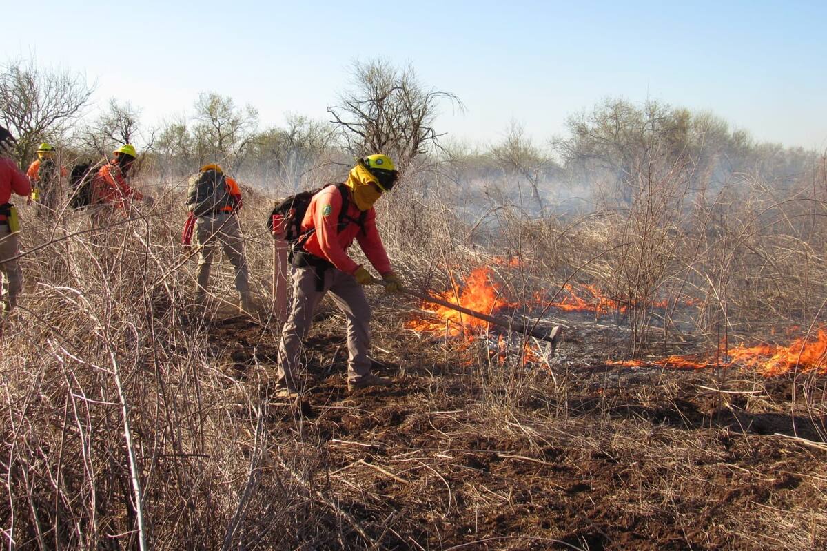 Maleza y basura son la principal causa de daños por incendio: UPIH