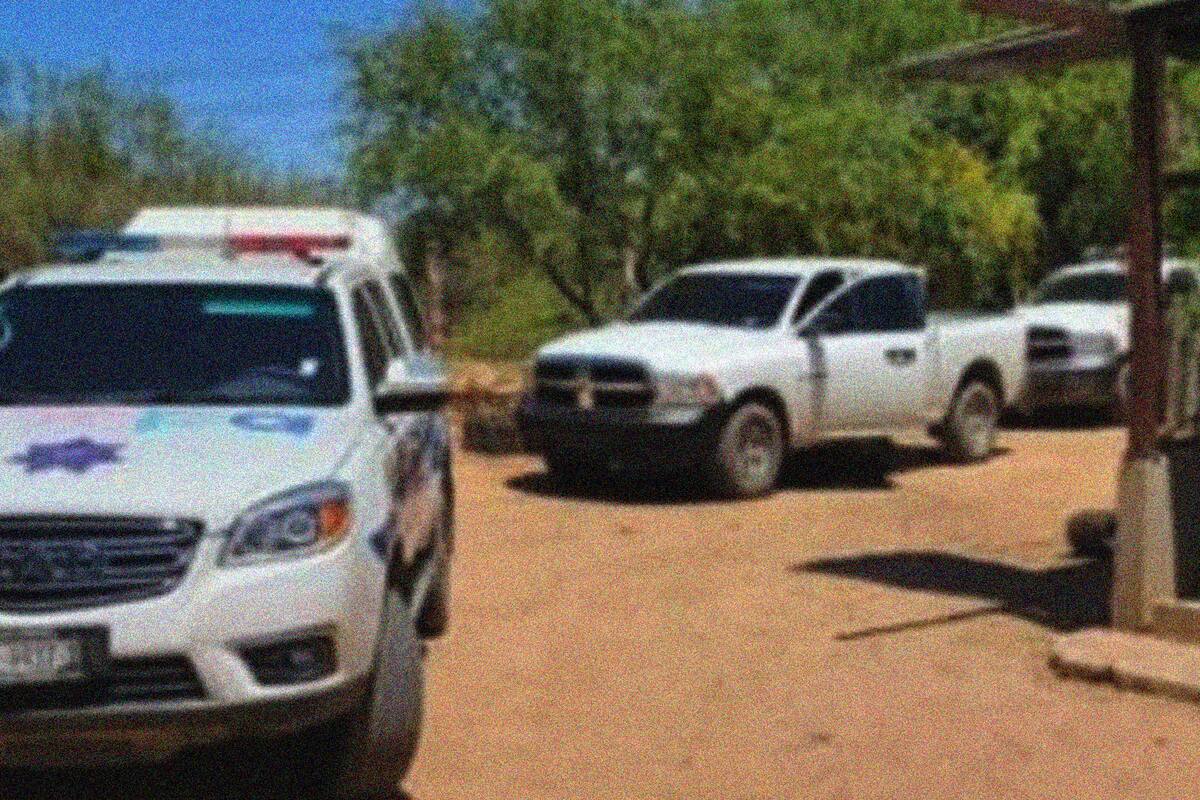 Mujer encuentra a sus animales muertos y lesionados en granja de colonia La Manga, en Hermosillo