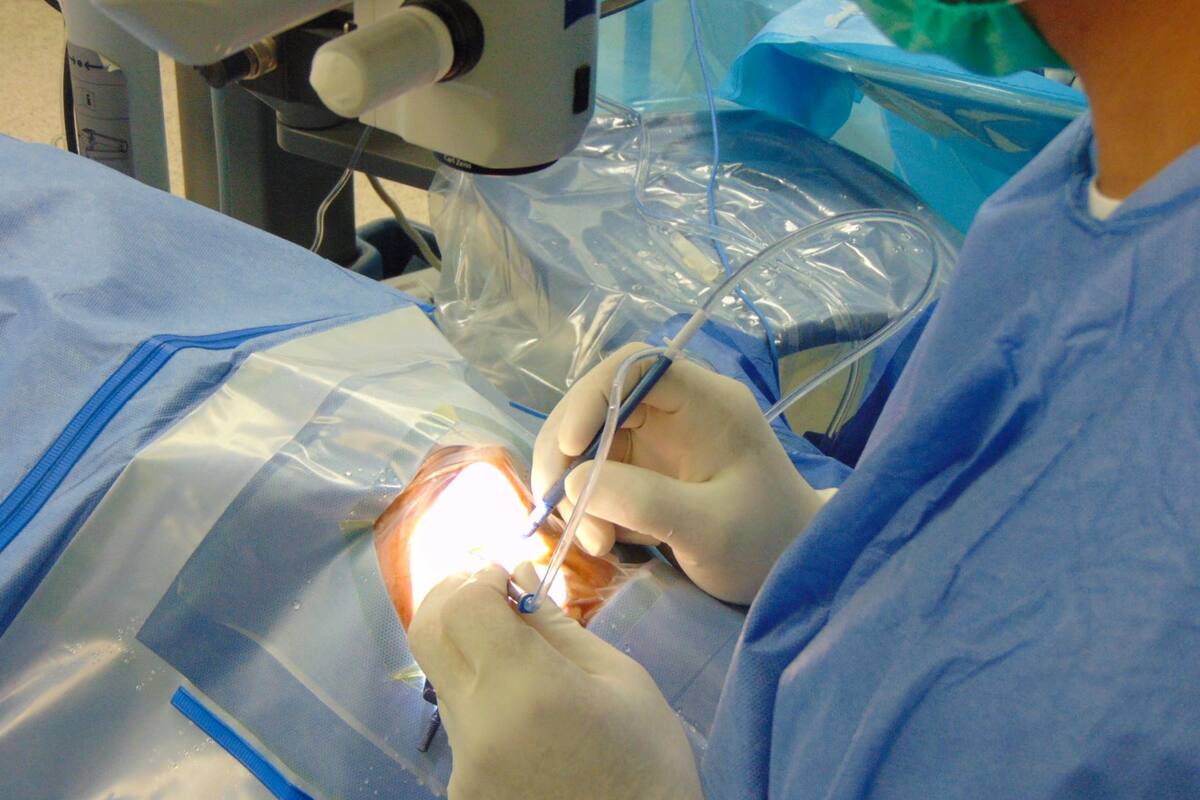 Donación de órganos y tejidos salva vidas: Secretaría de Salud
