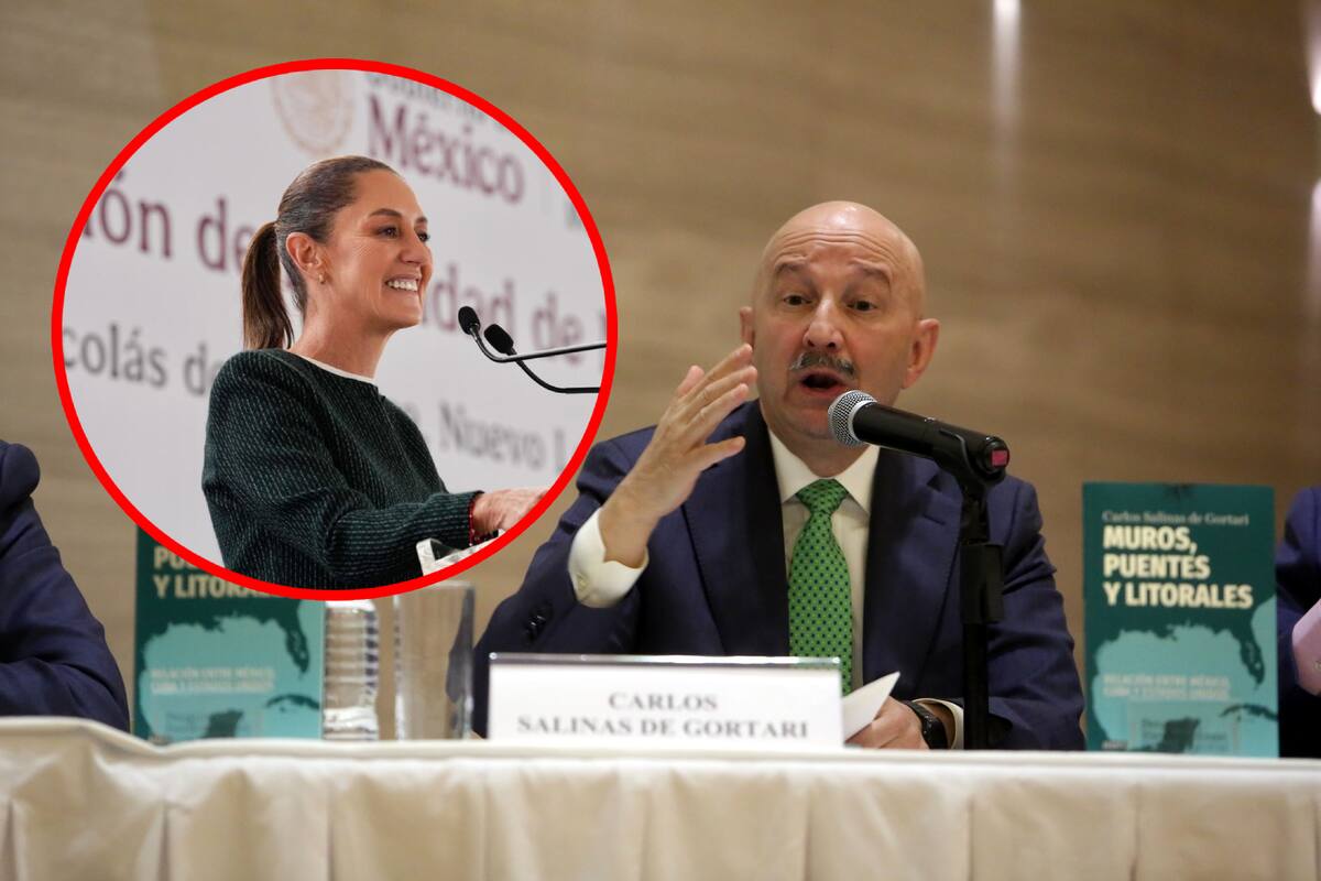 Carlos Salinas de Gortari: Claudia Sheinbaum cuestiona si lo han visto viajar en un avión comercial