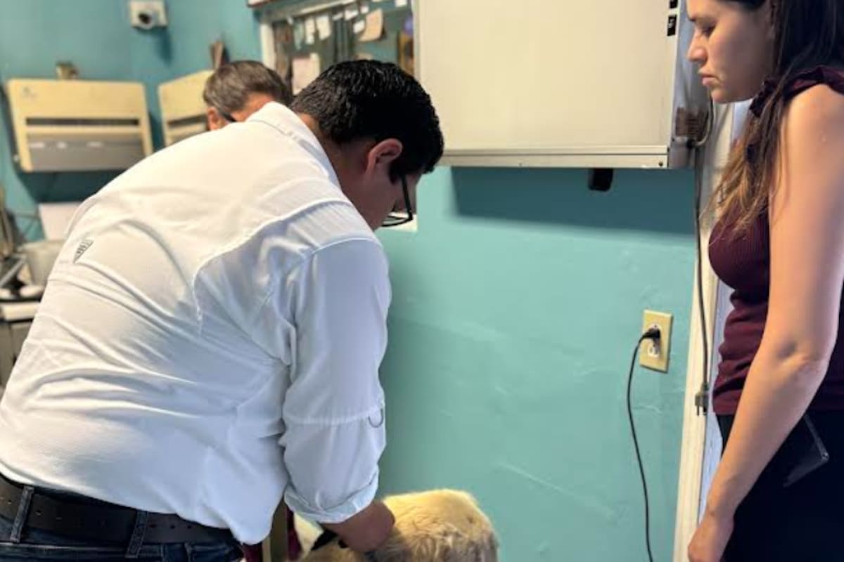Vecinos reportan presunto maltrato y rescatan a perro en Playas de Tijuana
