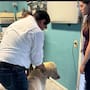 Vecinos reportan presunto maltrato y rescatan a perro en Playas de Tijuana