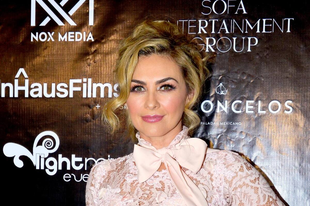Aracely Arámbula llega a acuerdo económico para ser mencionada en ‘Luis Miguel: La Serie’