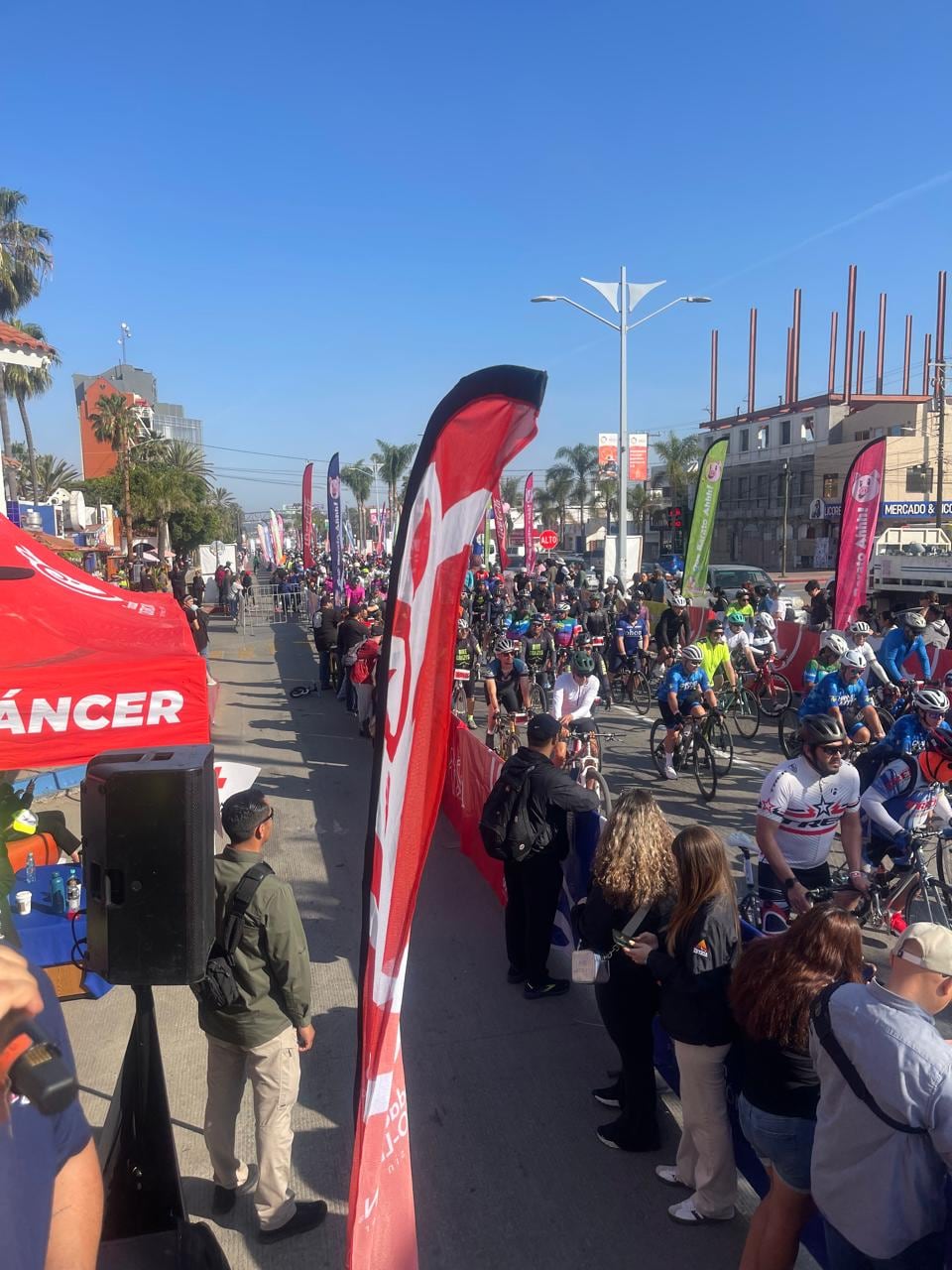 Foto: Carmen Gutiérrez