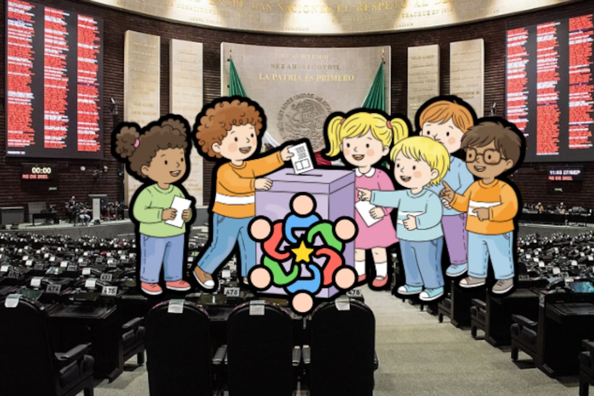 Propuesta en el Congreso: Buscan reformar la Ley de Educación para fortalecer contenidos obligatorios sobre derechos humanos, pensamiento crítico y ética pública