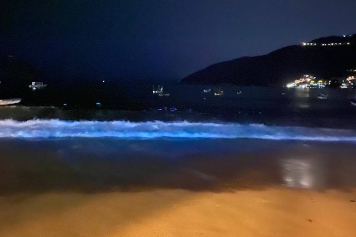 Captan impresionante fenómeno de bioluminiscencia en playas de Acapulco