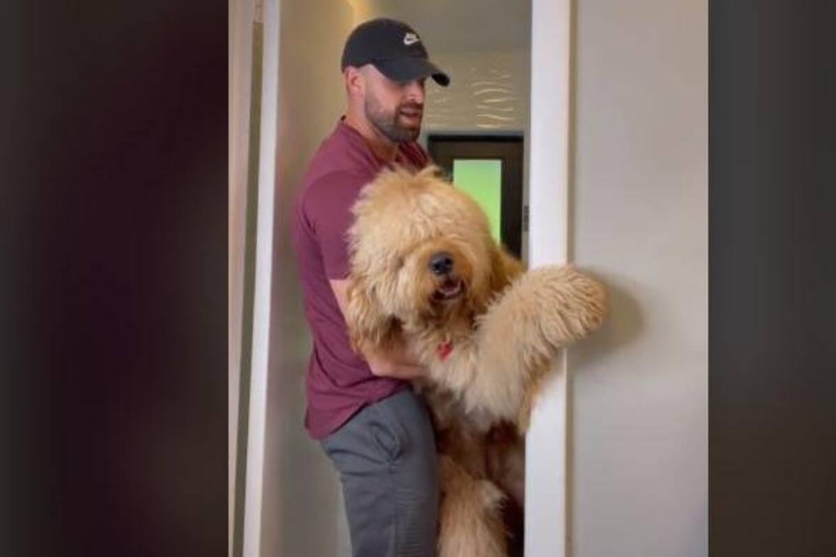 VIRAL: Perrito no se quiere bañar y se "molesta" con su dueño