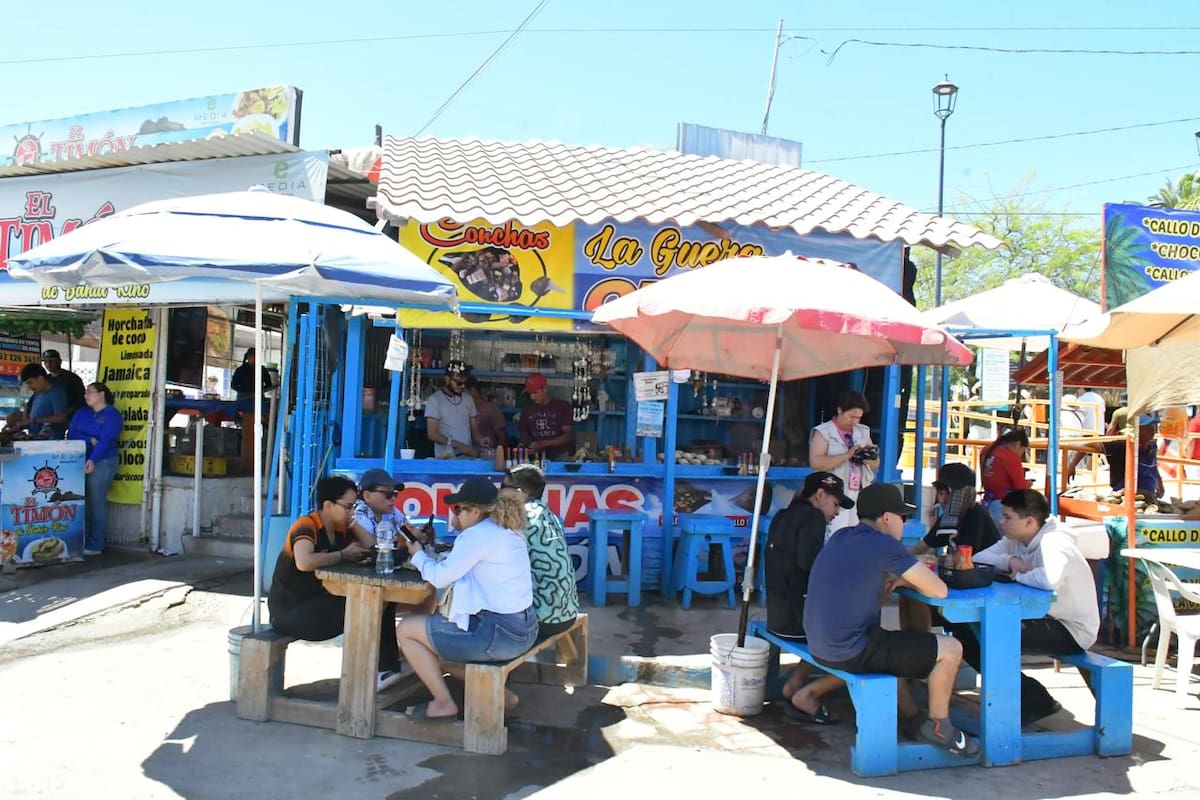 Establecimiento La Guera Cirujana, Conchas el Tejón de Bahía de Kino. Foto: Cortesía