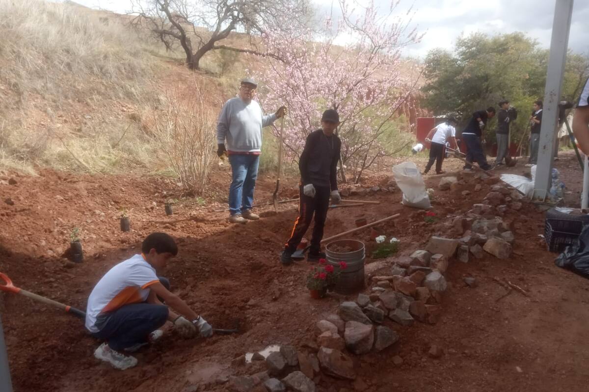 Construyen “jardines de lluvias” en escuelas de Nogales