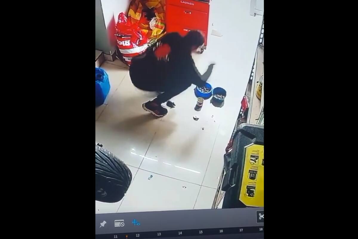 VIDEO TIKTOK: Joven se asusta al ver que una rata intenta comerse la comida de sus mascotas
