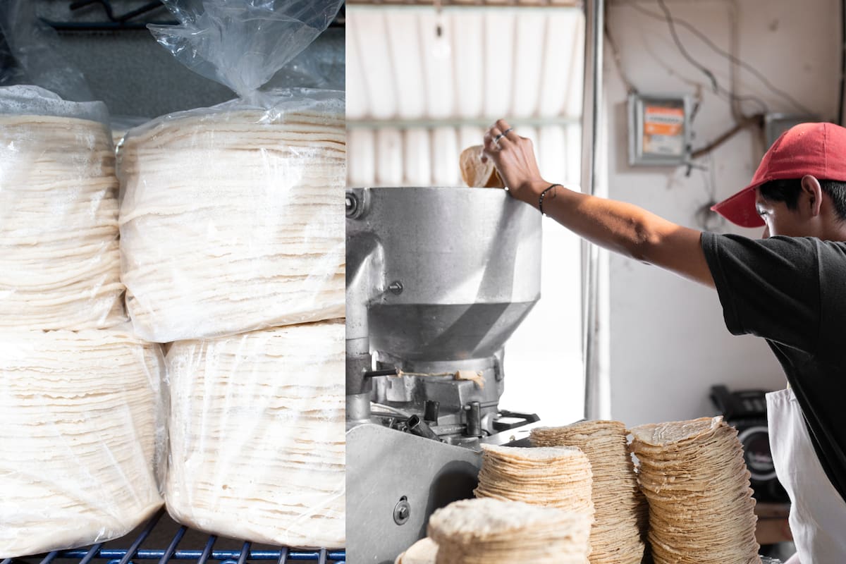 Tortilla de tortillería o de supermercado: Profeco revela cuál es más nutritiva