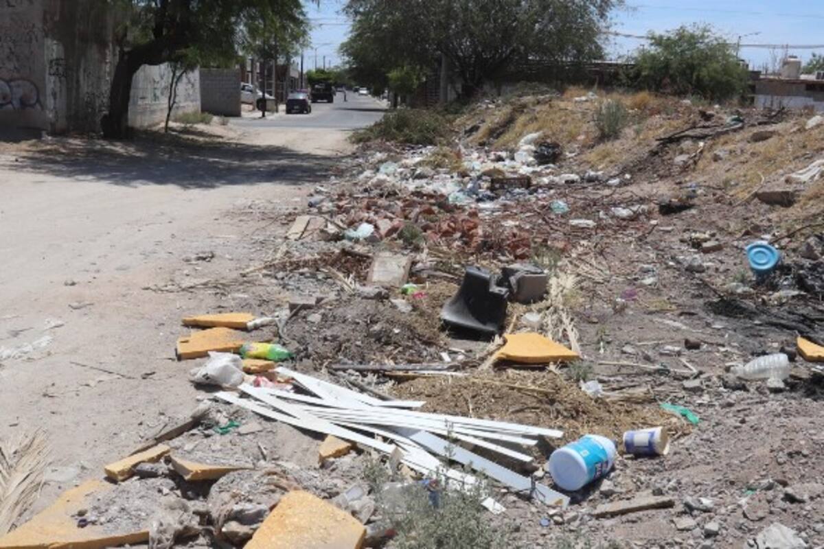 Usan baldío como basurero y "cementerio" de animales
