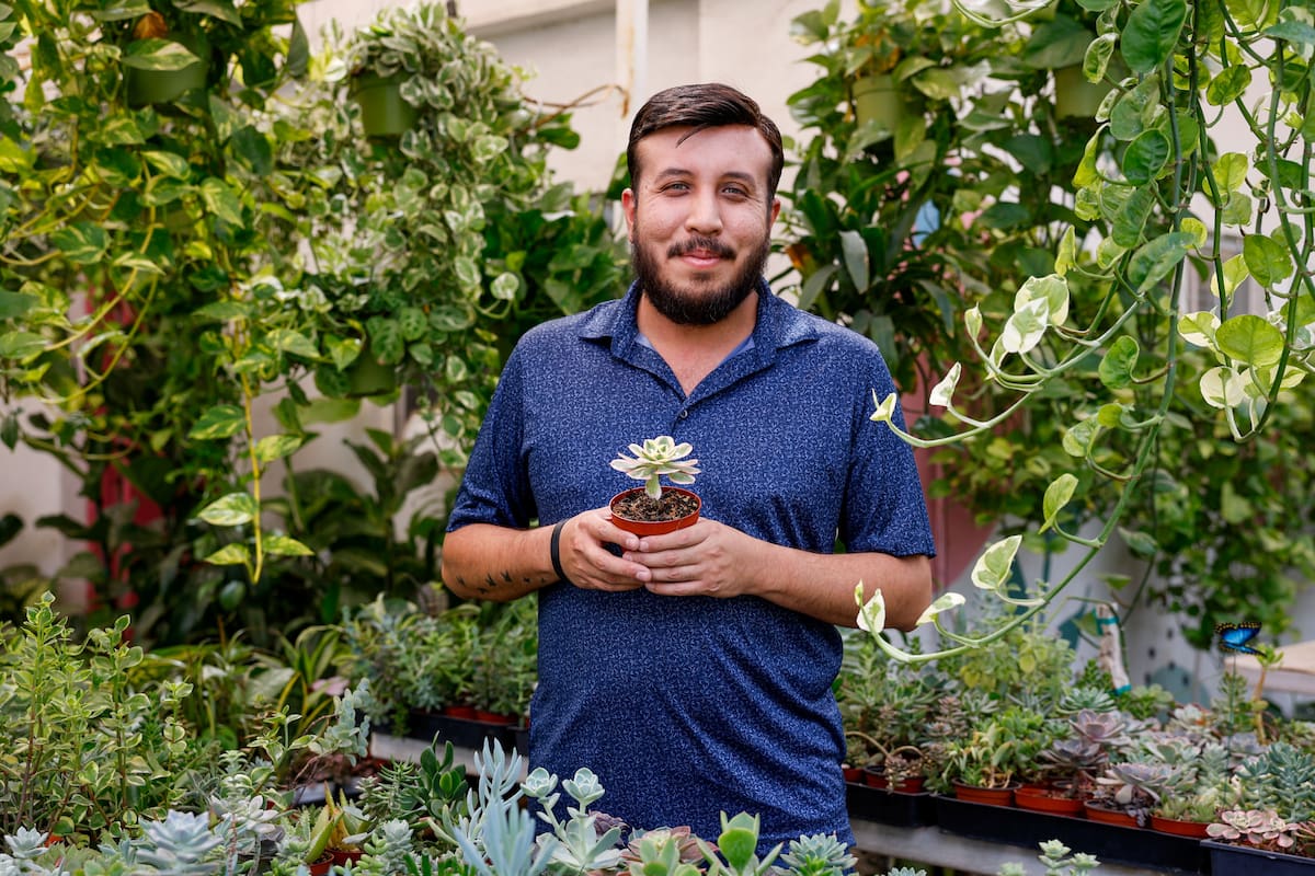 Plantas del desierto, la clave para un jardín resistente en Mexicali
