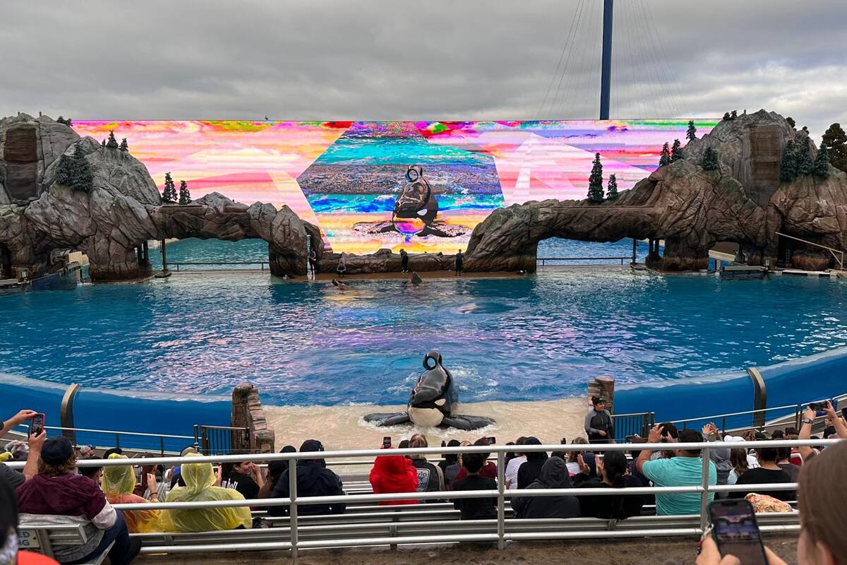 SeaWorld San Diego celebra su 60 aniversario con nostalgia y acrobacias