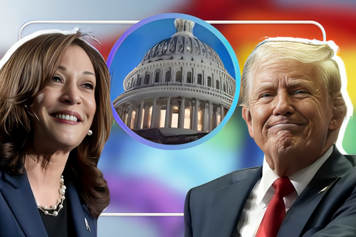 ¿Qué proponen Trump y Harris para promover derechos de ciudadanos LGBT+?