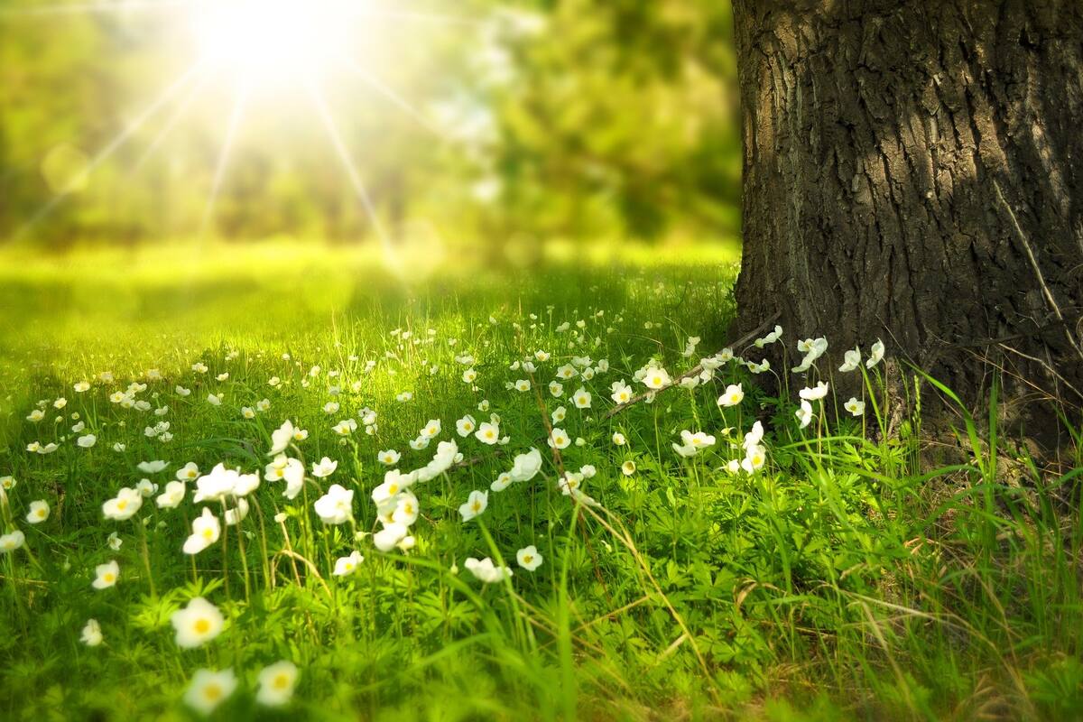 ¿Por qué estar en contacto con la naturaleza es bueno para la salud?