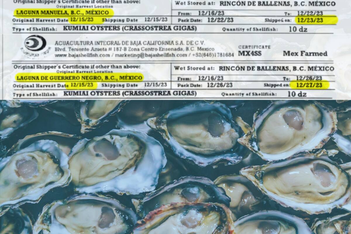 Incluye San Diego a BC en investigación de ostras importadas