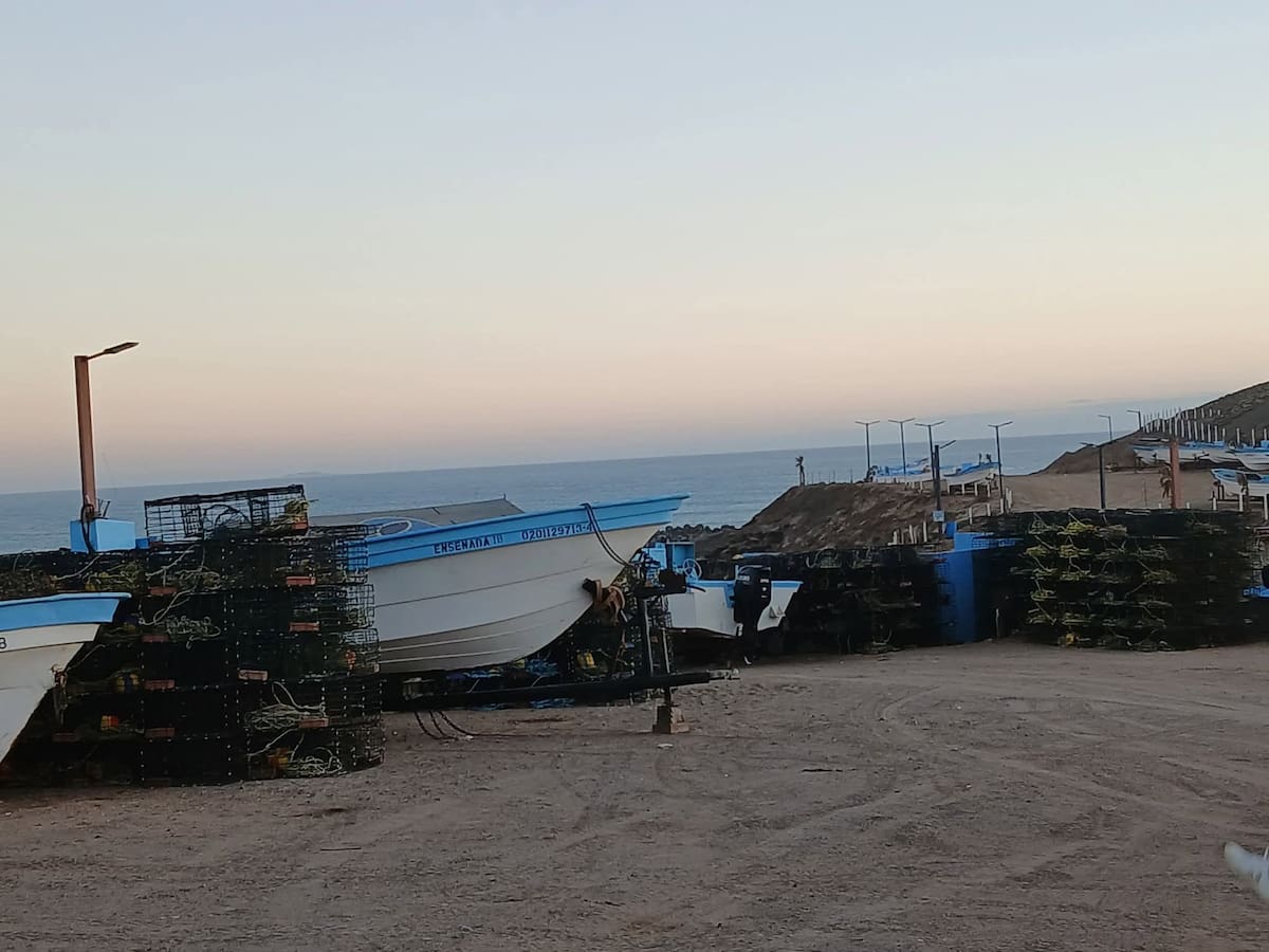 Pescadores de Baja California iniciaron la temporada de captura de langosta roja del Pacífico. Foto: Cortesia