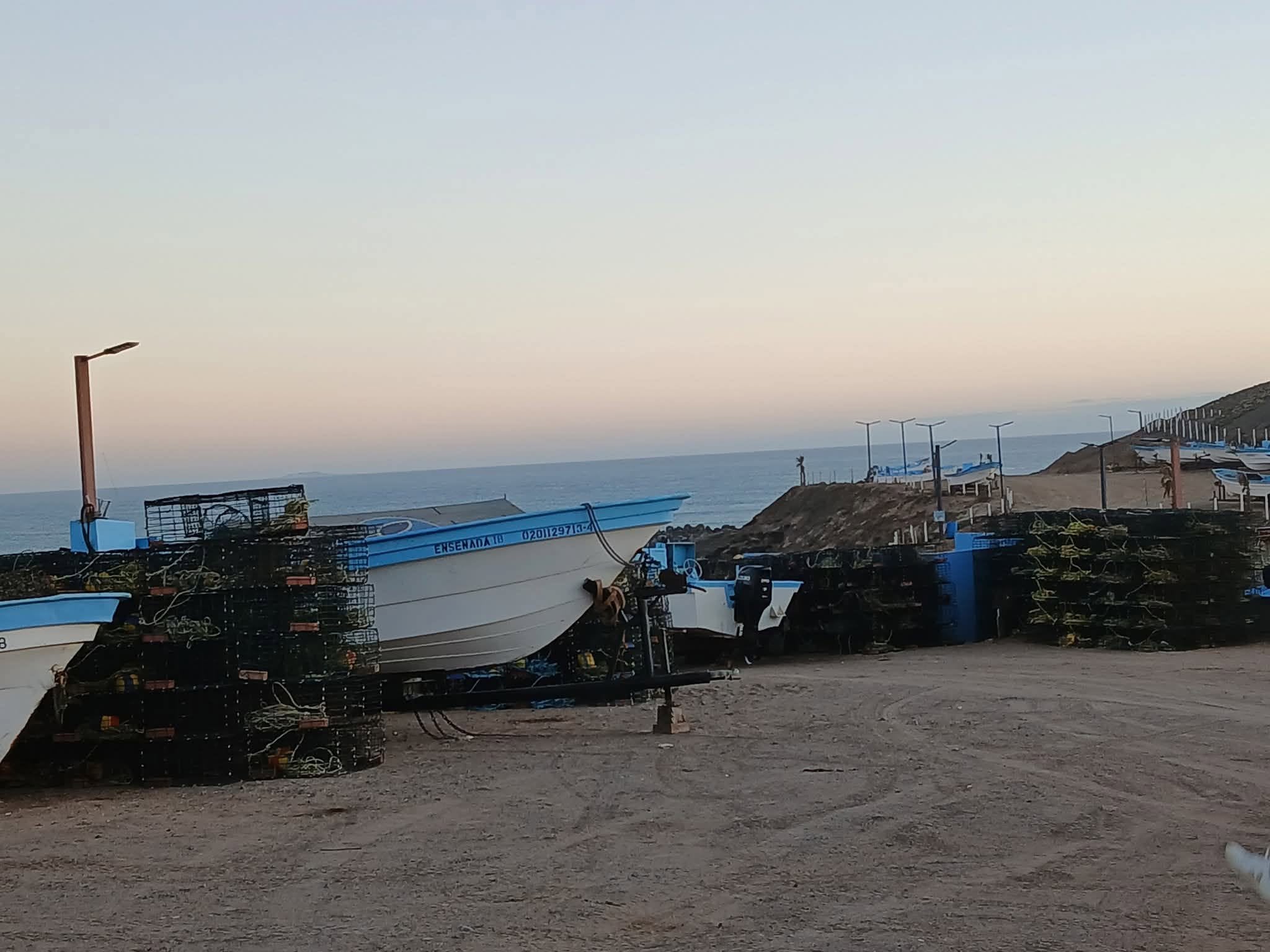 Pescadores de Baja California iniciaron la temporada de captura de langosta roja del Pacífico. Foto: Cortesia