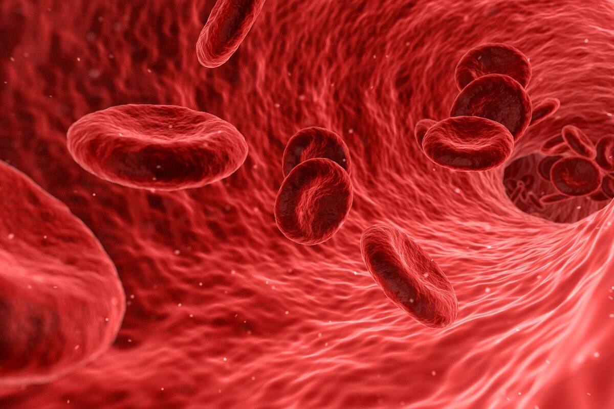 Sangre dorada: El más raro tipo sanguíneo en el mundo