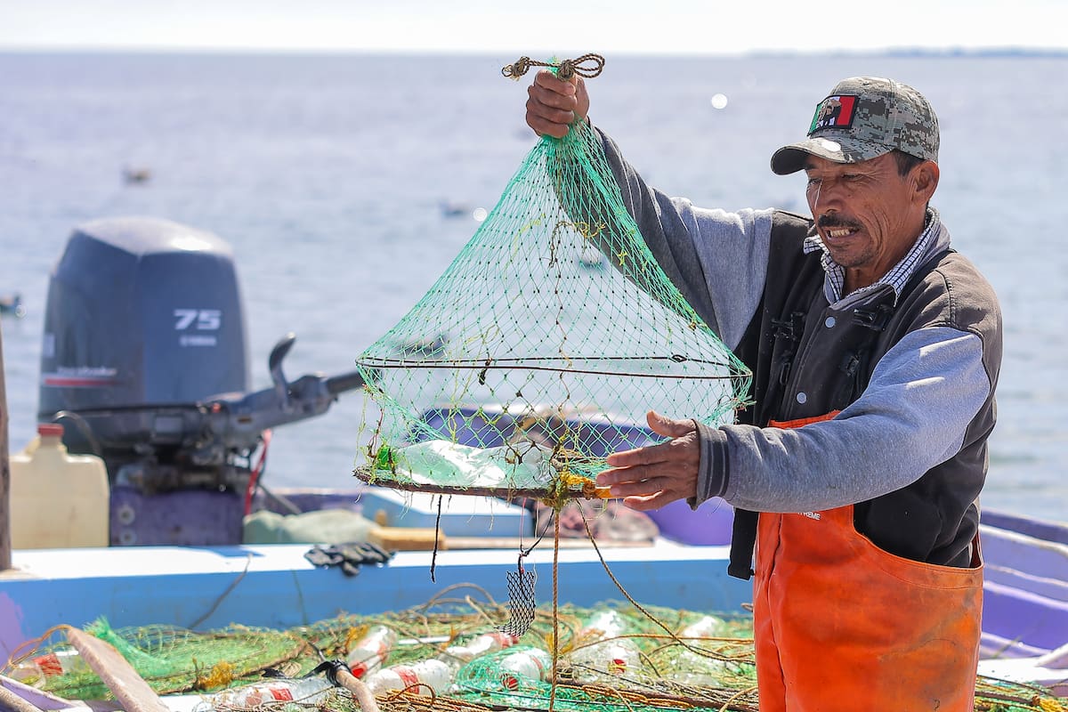 Preparan pescadores equipo para la temporada de jaiba