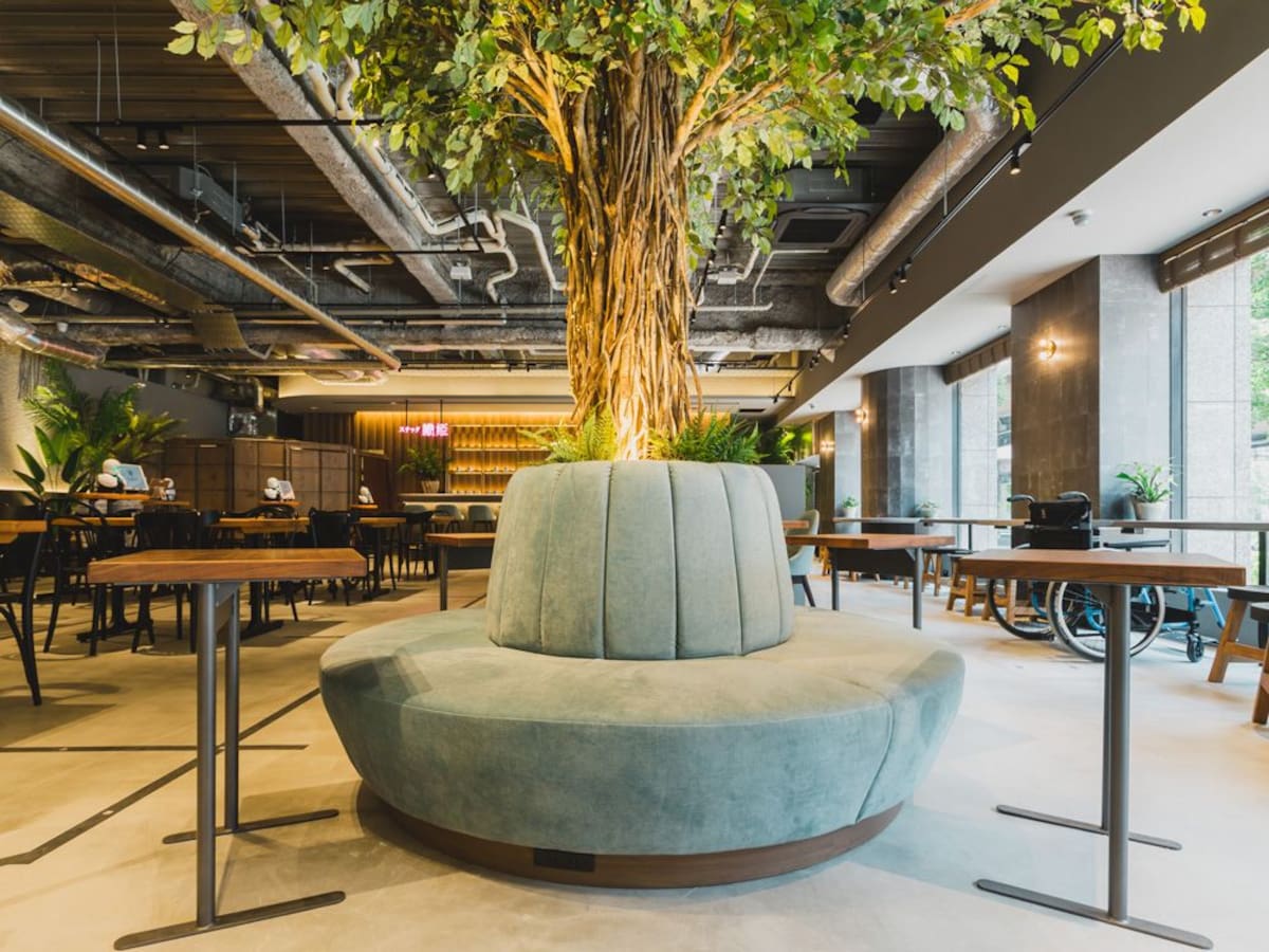 Imagen del Dawn Avatar Robot Cafe