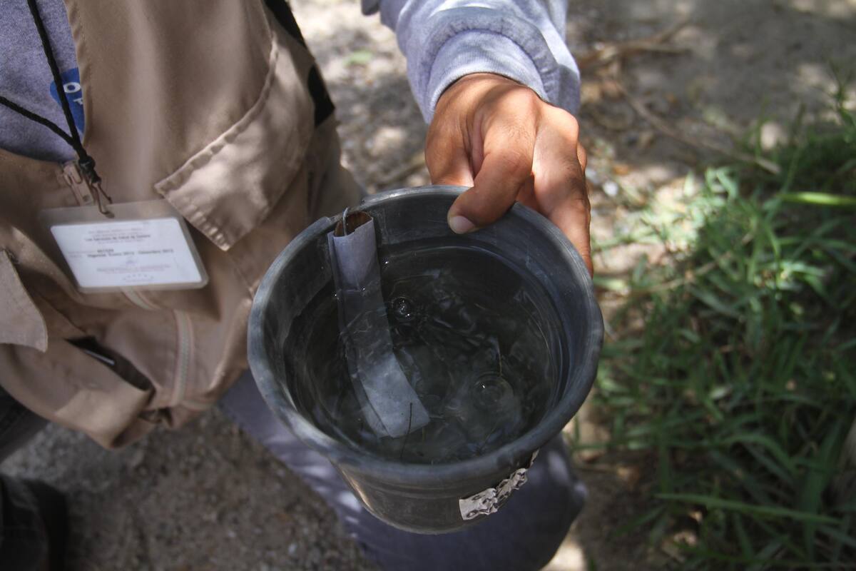 Guaymas no baja la guardia contra dengue: Salud