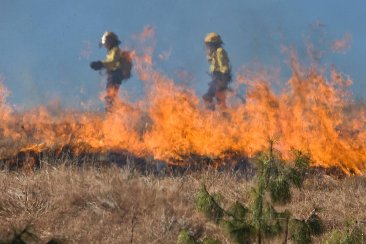 Piden a AMLO declarar emergencia ambiental nacional por incendios forestales