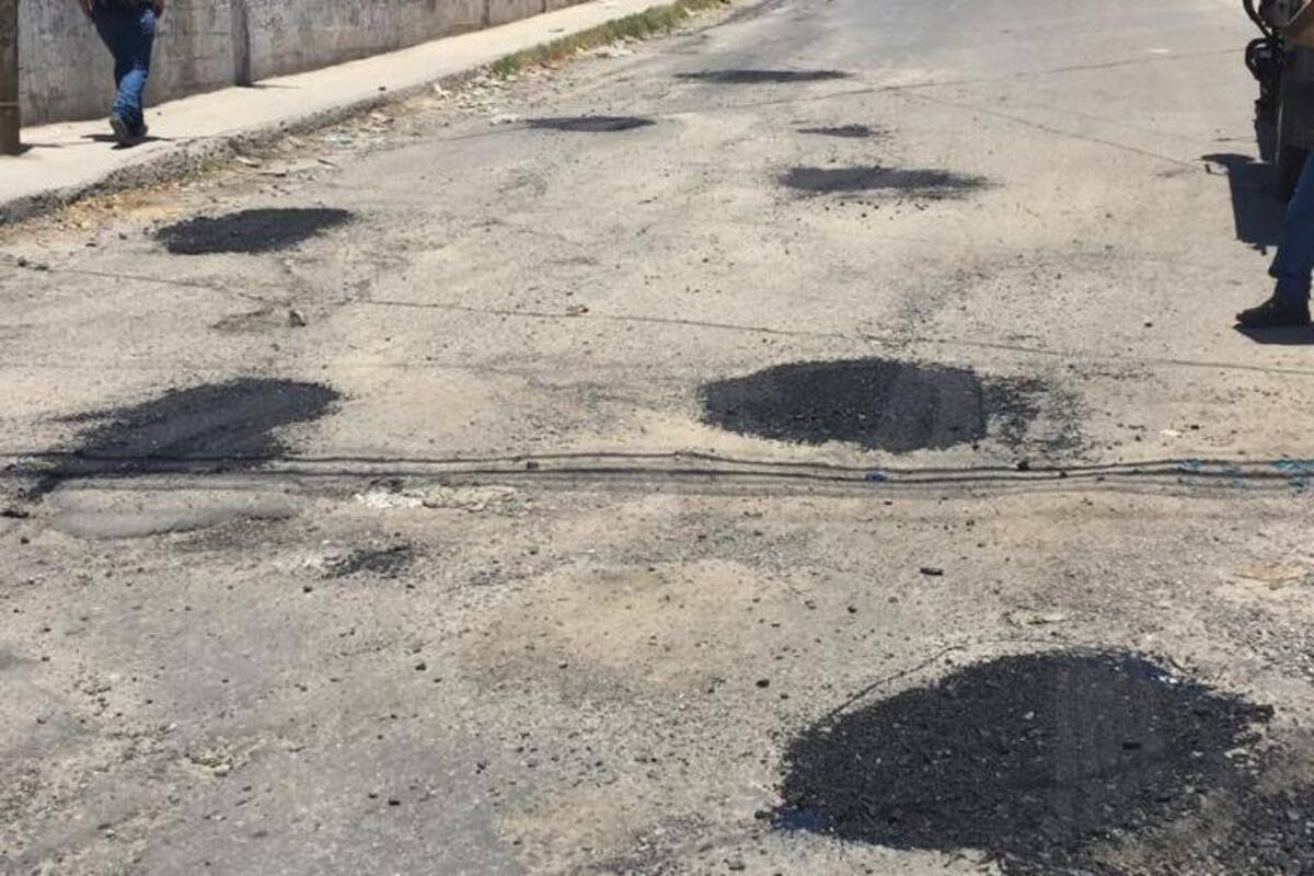 Bachean casi medio millón de metros cuadrados