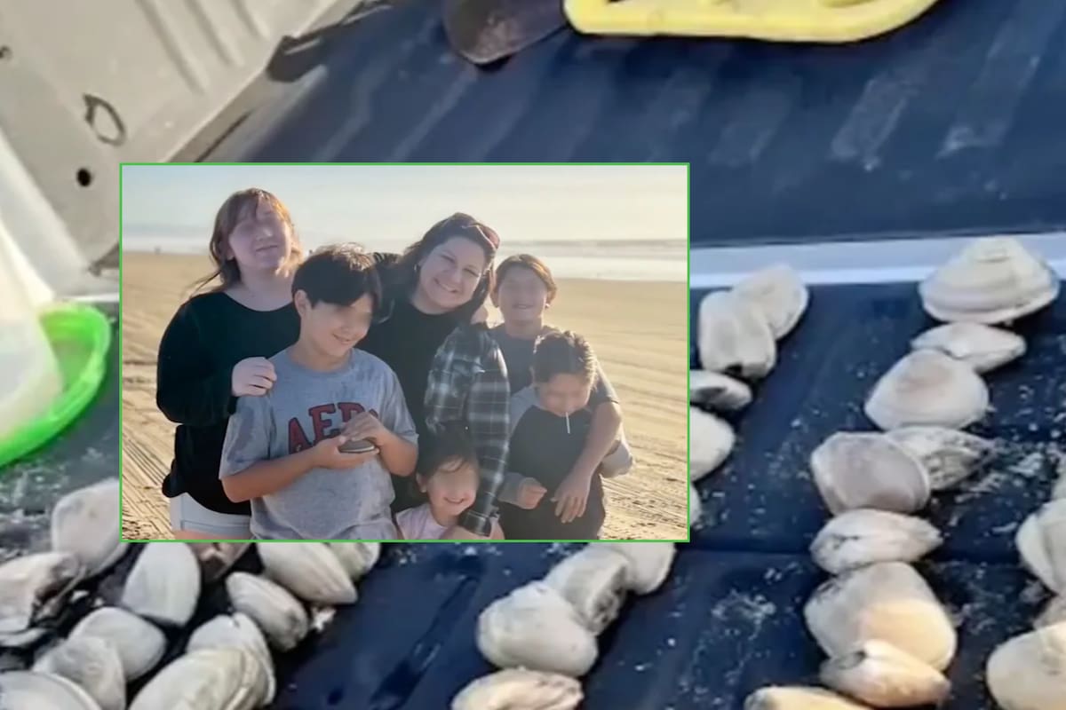 Multan a madre en EU: Sus hijos confundieron conchas marinas con almejas ¡y juntaron 72!