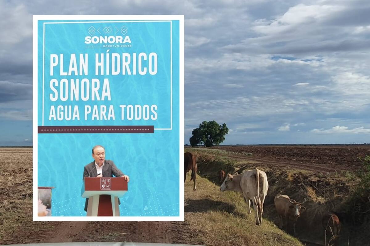 Da Plan Hídrico certidumbre a productores del Sur de Sonora