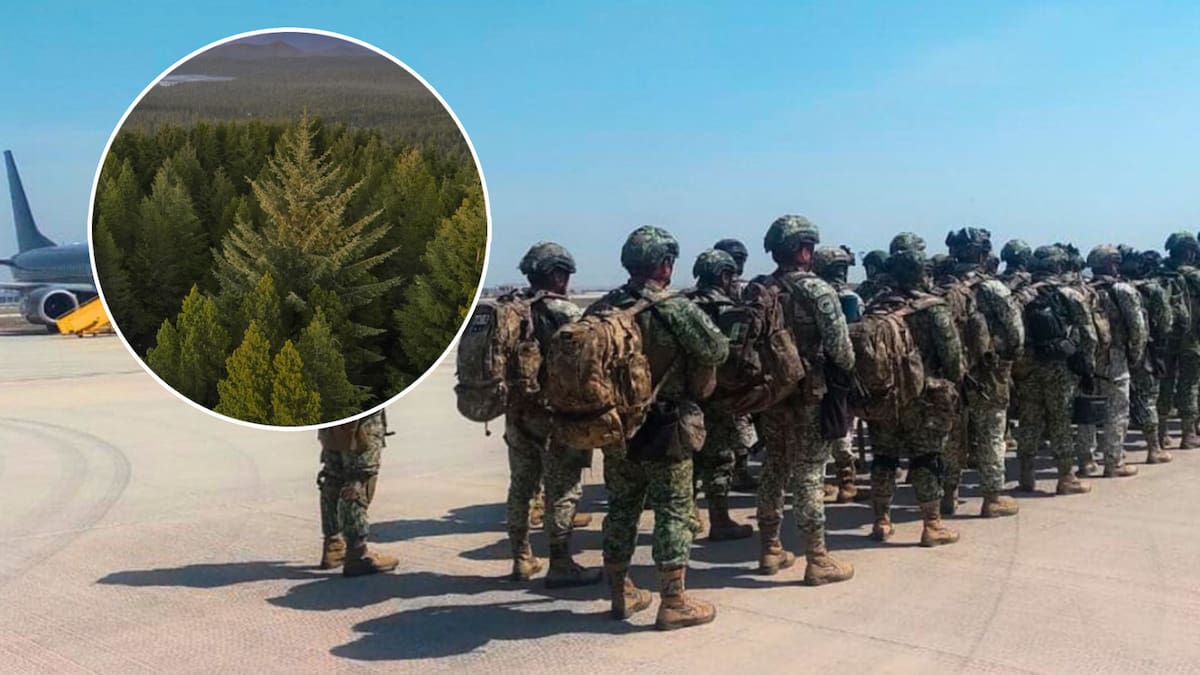 Ya es oficial: La Guardia Nacional no solo estará en los calles ahora también en bosques donde serán guardias forestales y de áreas protegidas