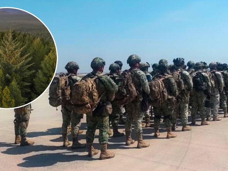 Ya es oficial: La Guardia Nacional no solo estará en los calles ahora también en bosques donde serán guardias forestales y de áreas protegidas