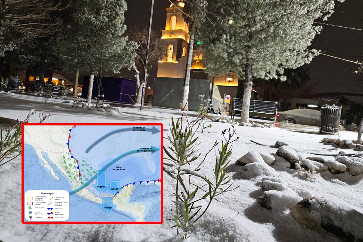 Servicio Meteorológico Nacional alerta: Estados que se estarán “congelando” con mínimas de -15 a -10 °C