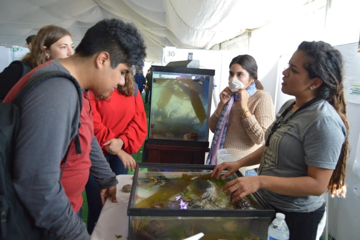 Acercan conocimiento científico a niños y jóvenes en Expo Ciencia y Tecnología 2019