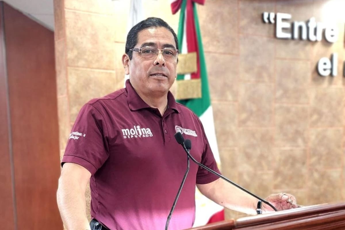 Comisión de gobernación analizará el lunes iniciativa sobre caso de ataque mortal por canes