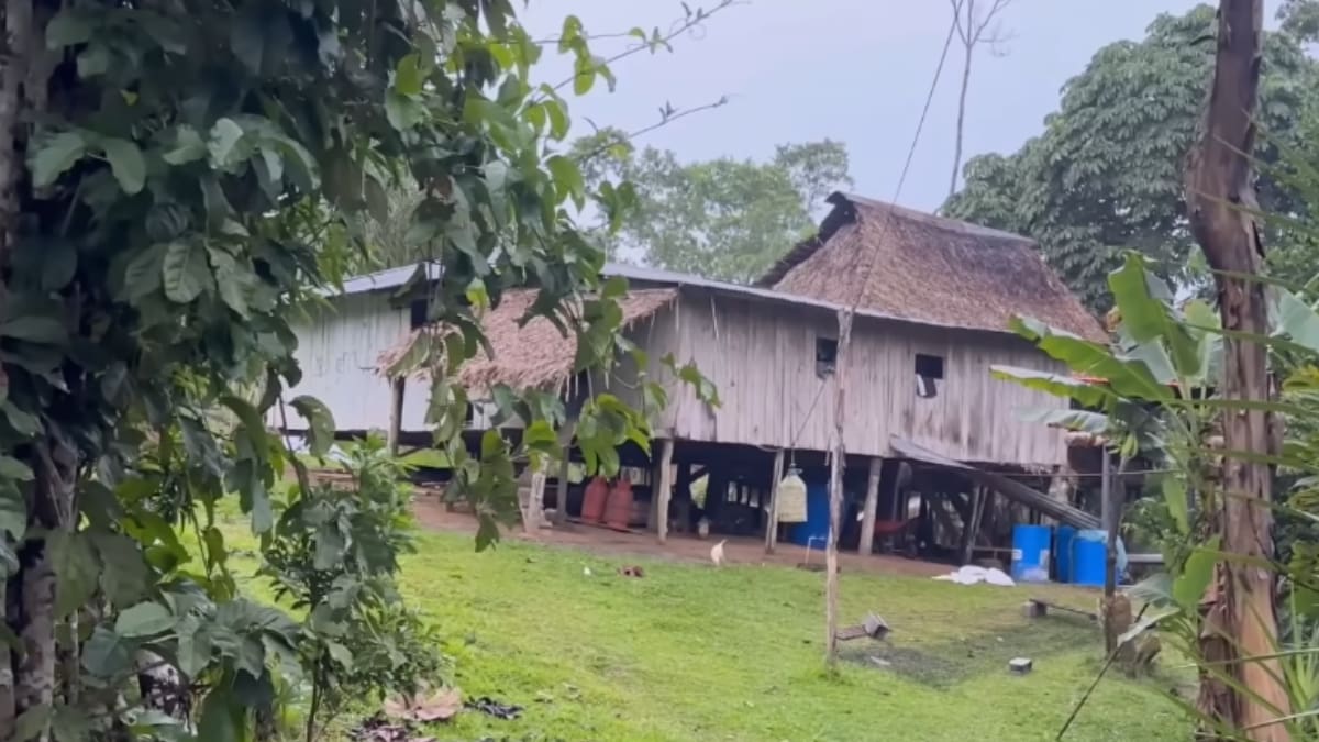 Una pareja abandonó la ciudad hace tres décadas para establecerse en la selva ecuatoriana y encontró en la agricultura y la crianza de animales una forma de alimentar a su familia y conseguir dinero para los gastos escolares de sus cinco hijas