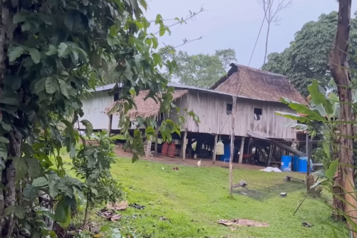 Una pareja abandonó la ciudad hace tres décadas para establecerse en la selva ecuatoriana y encontró en la agricultura y la crianza de animales una forma de alimentar a su familia y conseguir dinero para los gastos escolares de sus cinco hijas