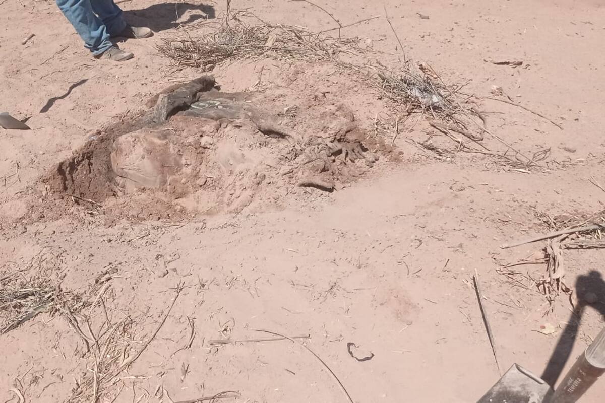 Hallan restos humanos en desierto de SLRC