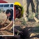 Protección Civil planta árboles en zona vulnerable de Hermosillo: buscan frenar incendios y recuperar espacios verdes