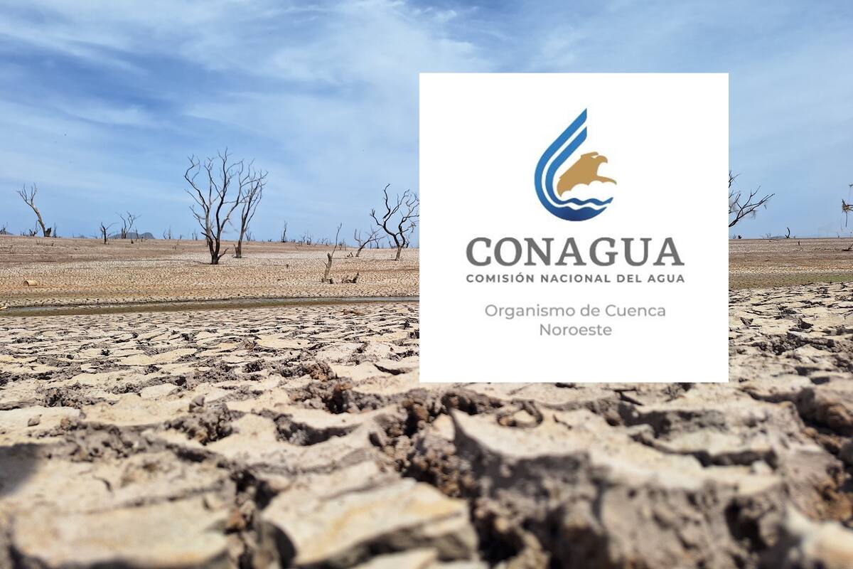 Es 2024 uno de tres 3 años más secos en la historia en Sonora: Conagua