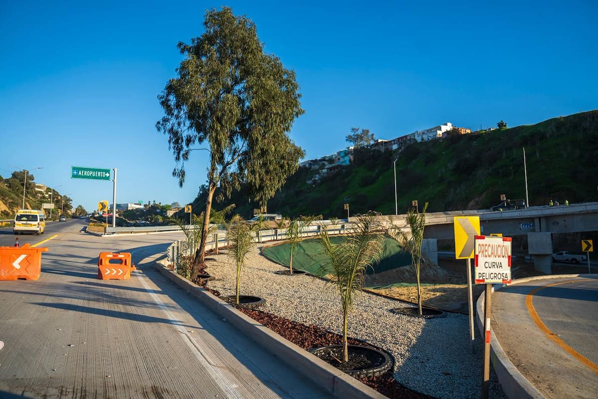 Trabajadores realizaron labores de pintado vial, colocación de señalética y forestación en la zona del cañón del Matadero como parte de los trabajos finales del Viaducto Elevado. Foto: Border Zoom