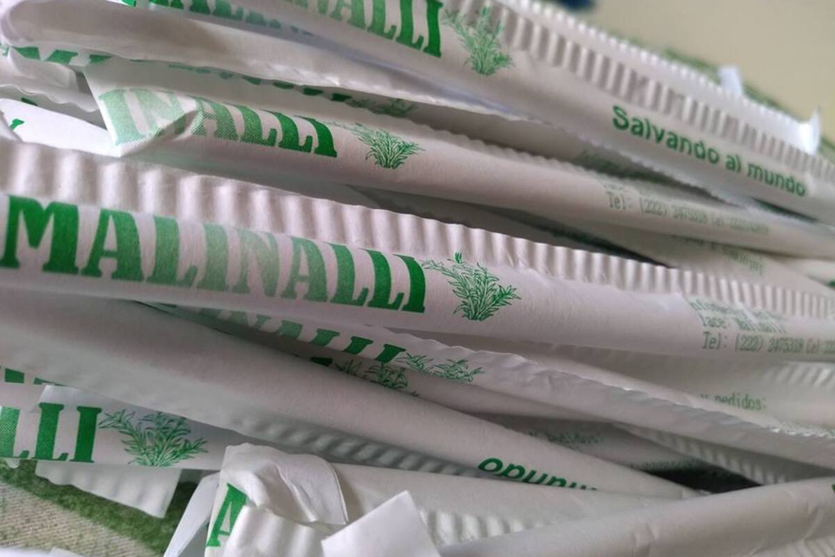Jóvenes elaboran popotes biodegradables de carrizo