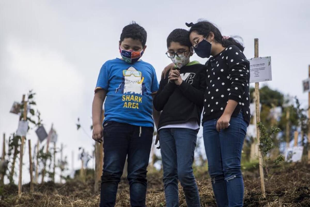 Las cenizas de víctimas de covid-19 son convertidas en árboles por sus familias