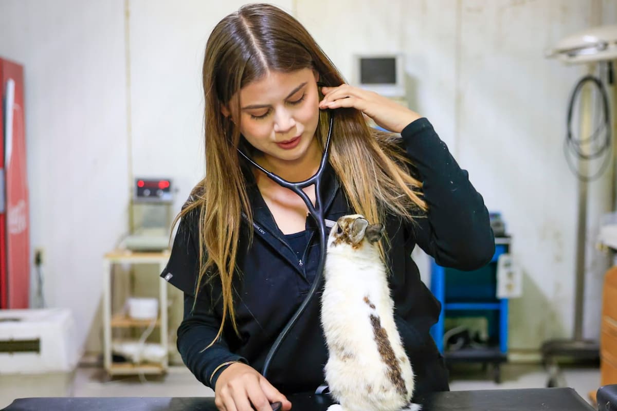 Entre huellas, plumas y vocaciones; la vida de Vivian Sierra como veterinaria