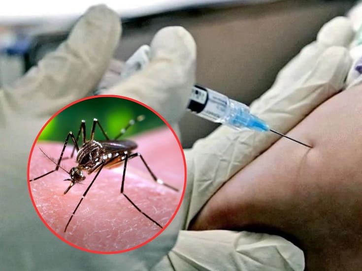 Cofepris aprueba la vacuna japonesa contra el dengue “Qdenga” con un 83.6% de eficacia contra el virus mientras inicia la logística de distribución nacional ¿Será gratuita?