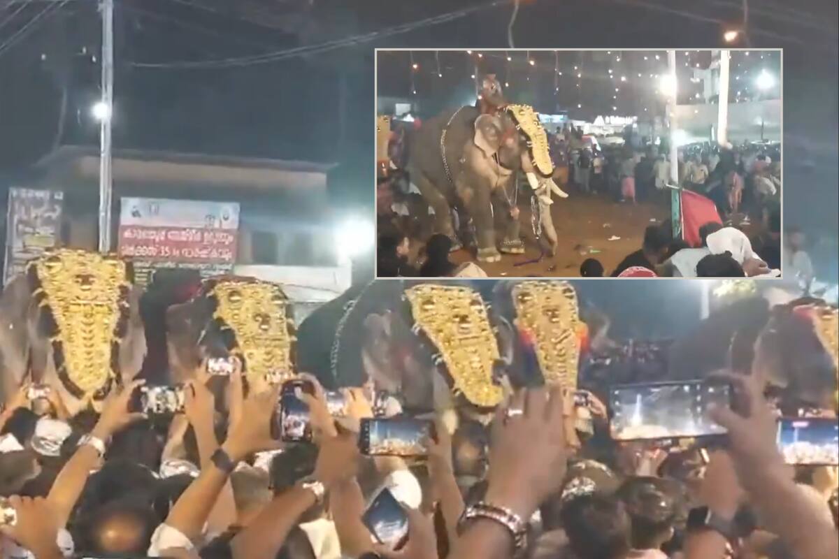 VIDEO: Elefante embiste a multitud y deja 23 heridos en un festival