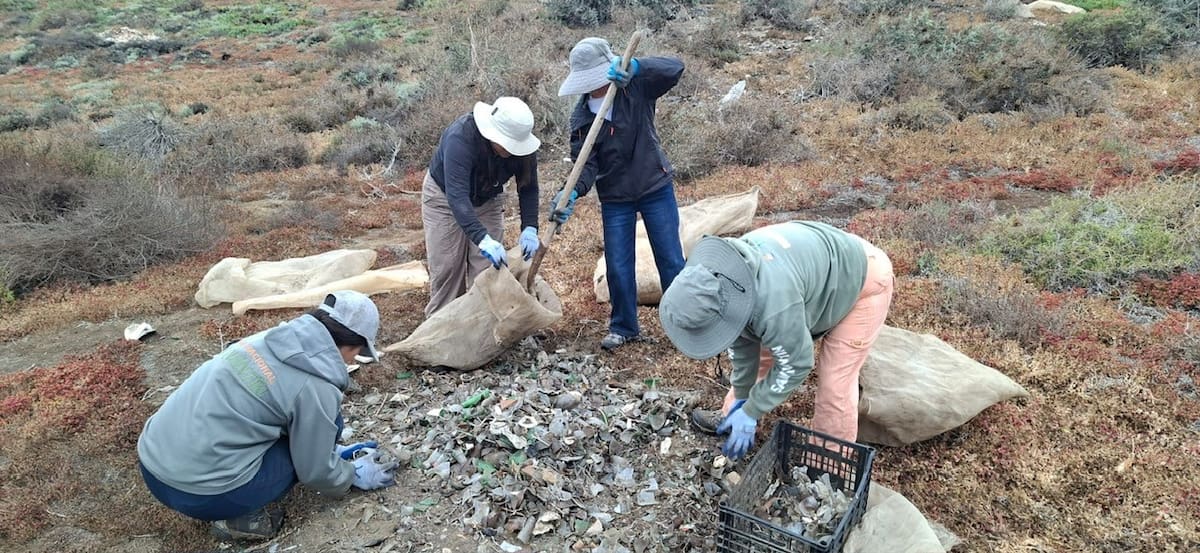 Zofemat, Conanp y Servicios Públicos realizaron una jornada de limpieza en el Parque Nacional San Quintín para retirar residuos de vidrio y reducir riesgos para visitantes y fauna. Foto: Cortesía